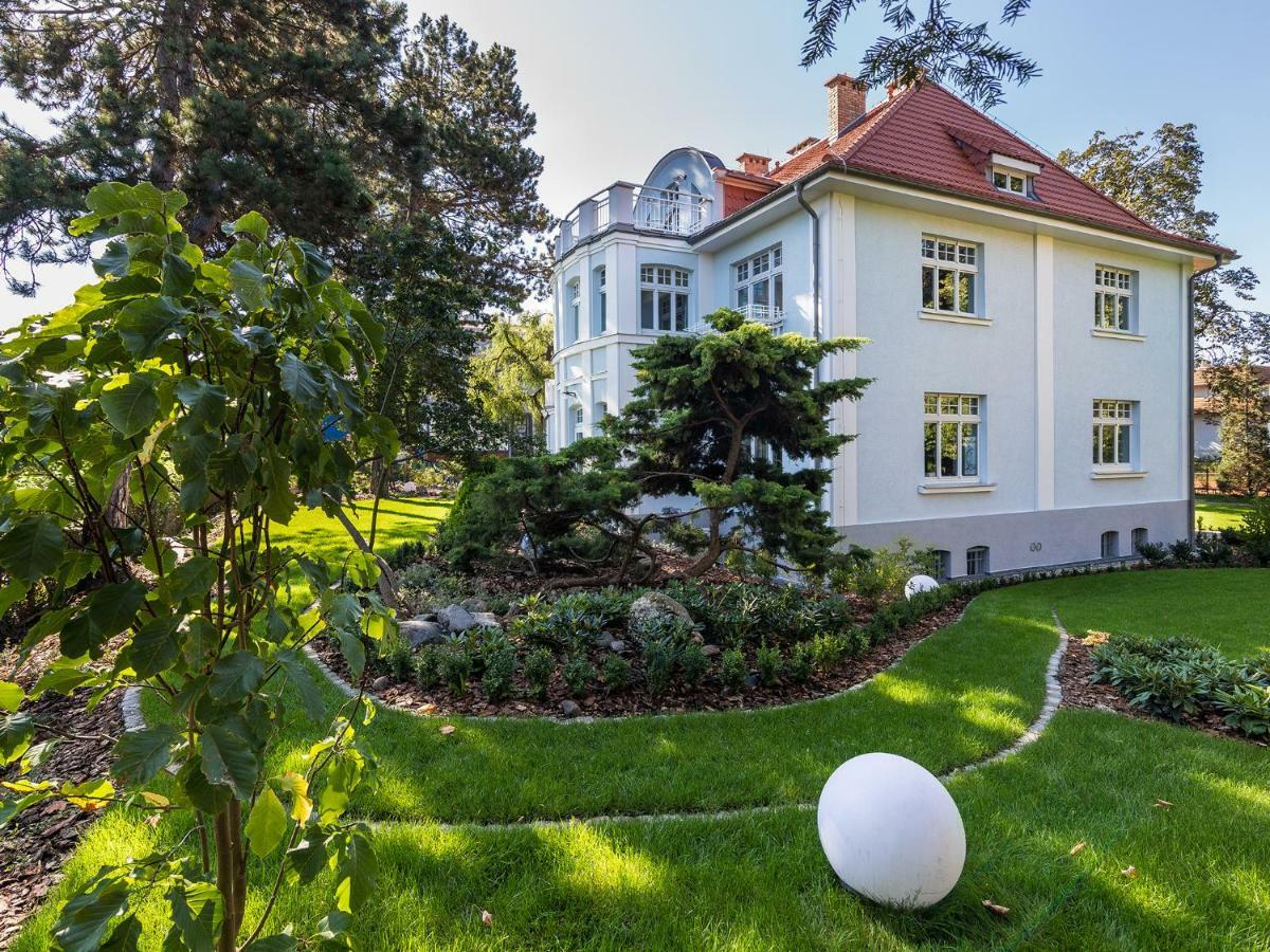 Testa Sopot